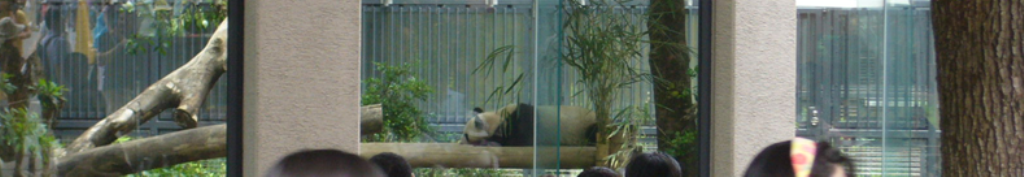 ヨガ、気になりませんか？