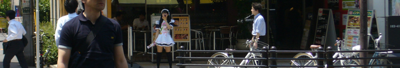 網戸のココが気になる！！